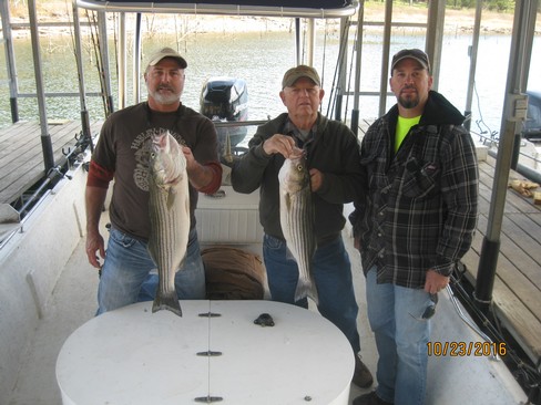 Nice Striped Bass